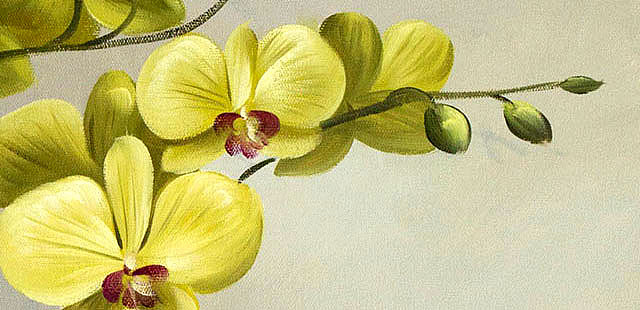 0B 《高贵兰花》 当代油画家 王露露 花卉写实油画